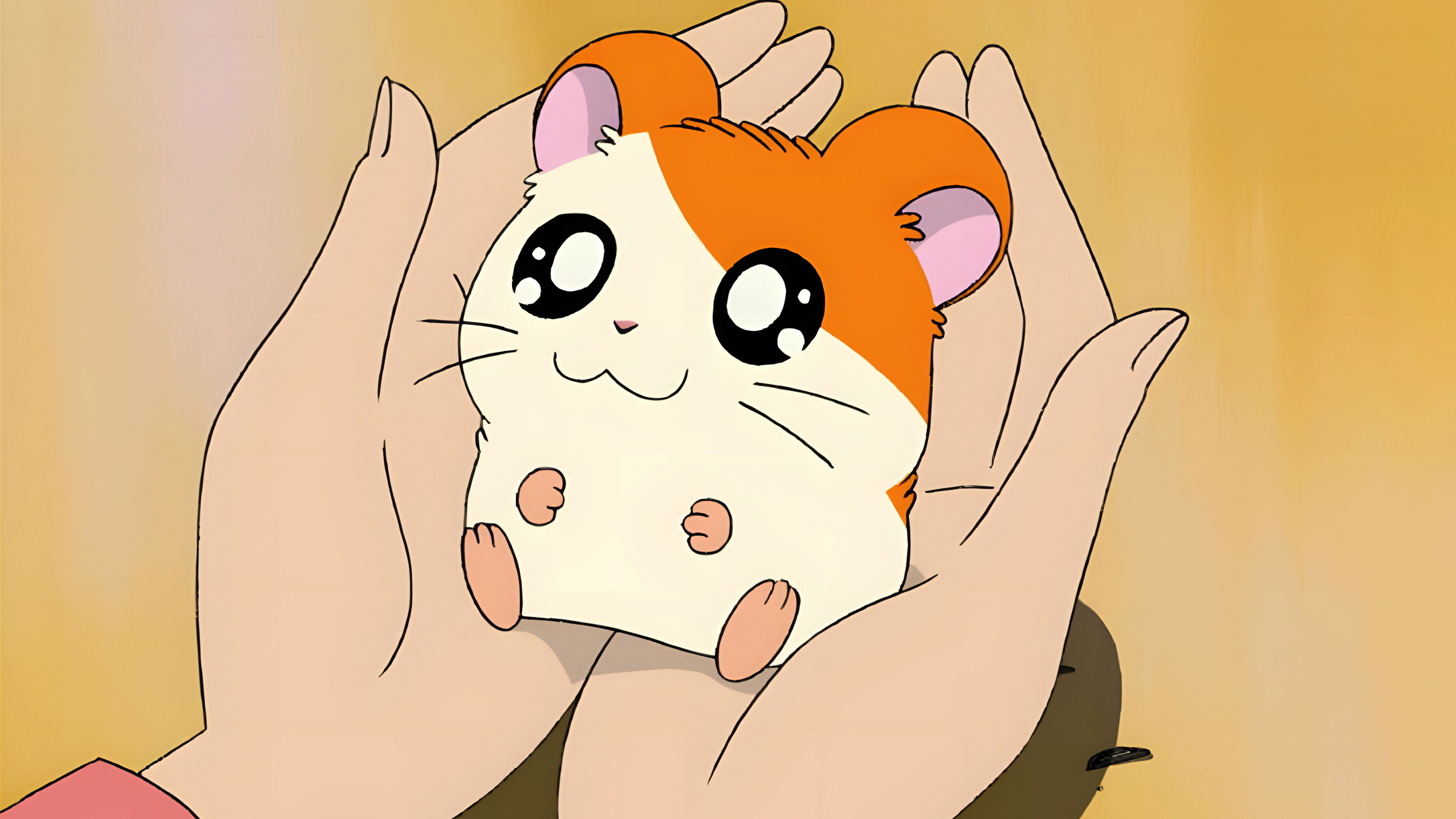 Hamtaro Background