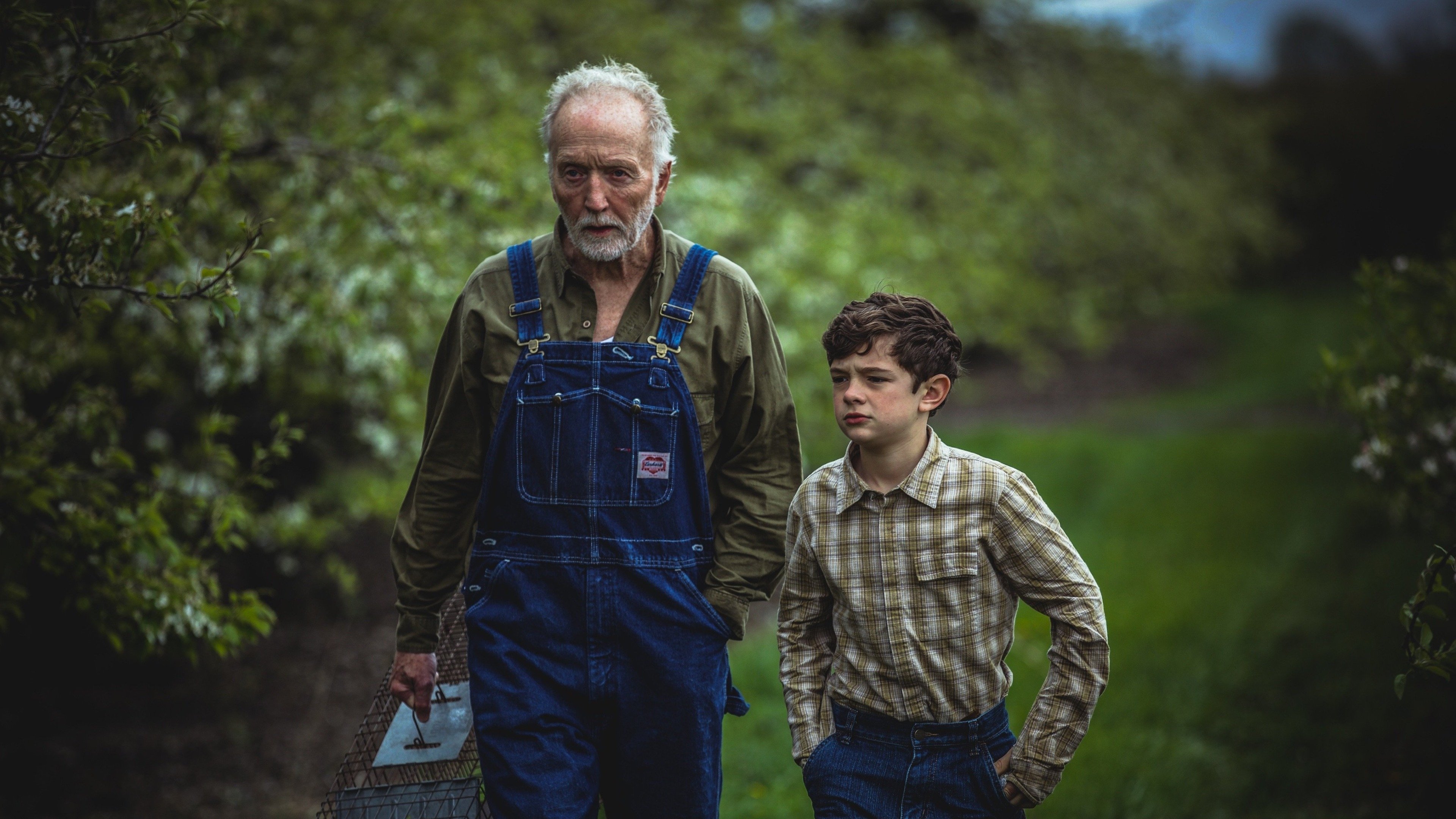 My Pretty Pony Background