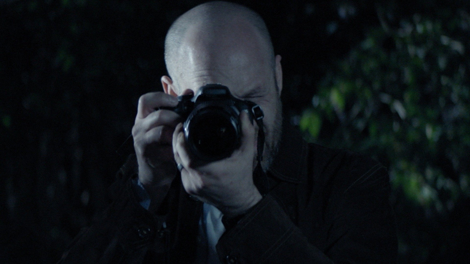 Goodbye, Butterfly Background