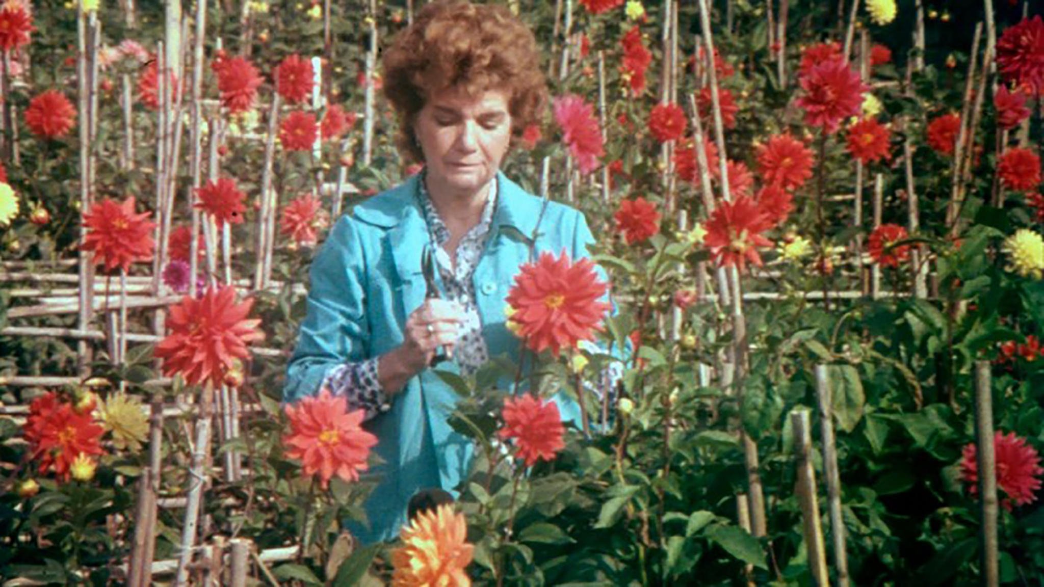 Visit, or Memories and Confessions Background