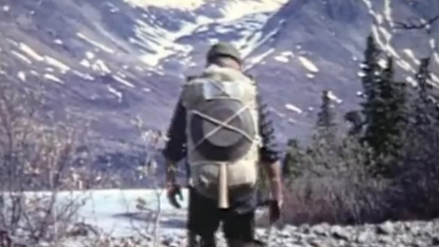 Alone in the Wilderness Background