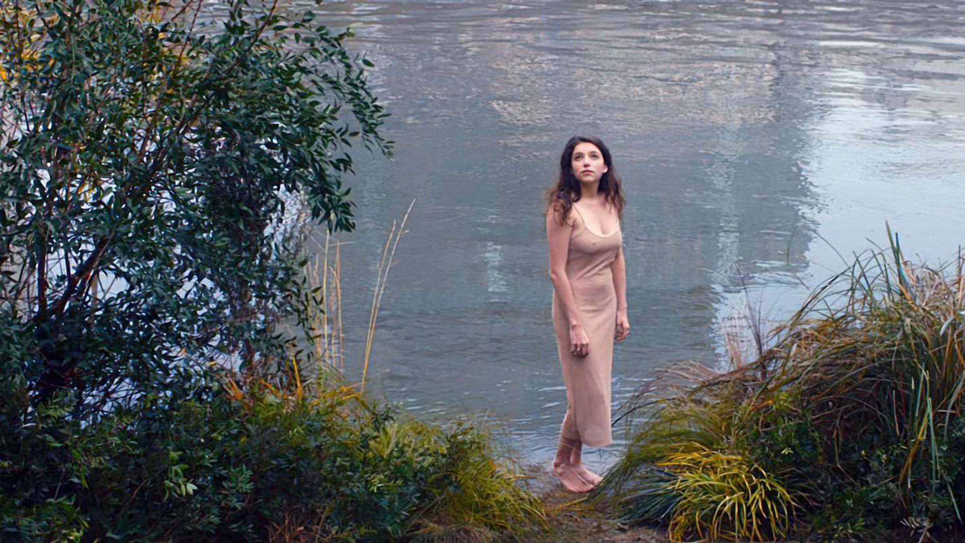 Honey Cigar Background