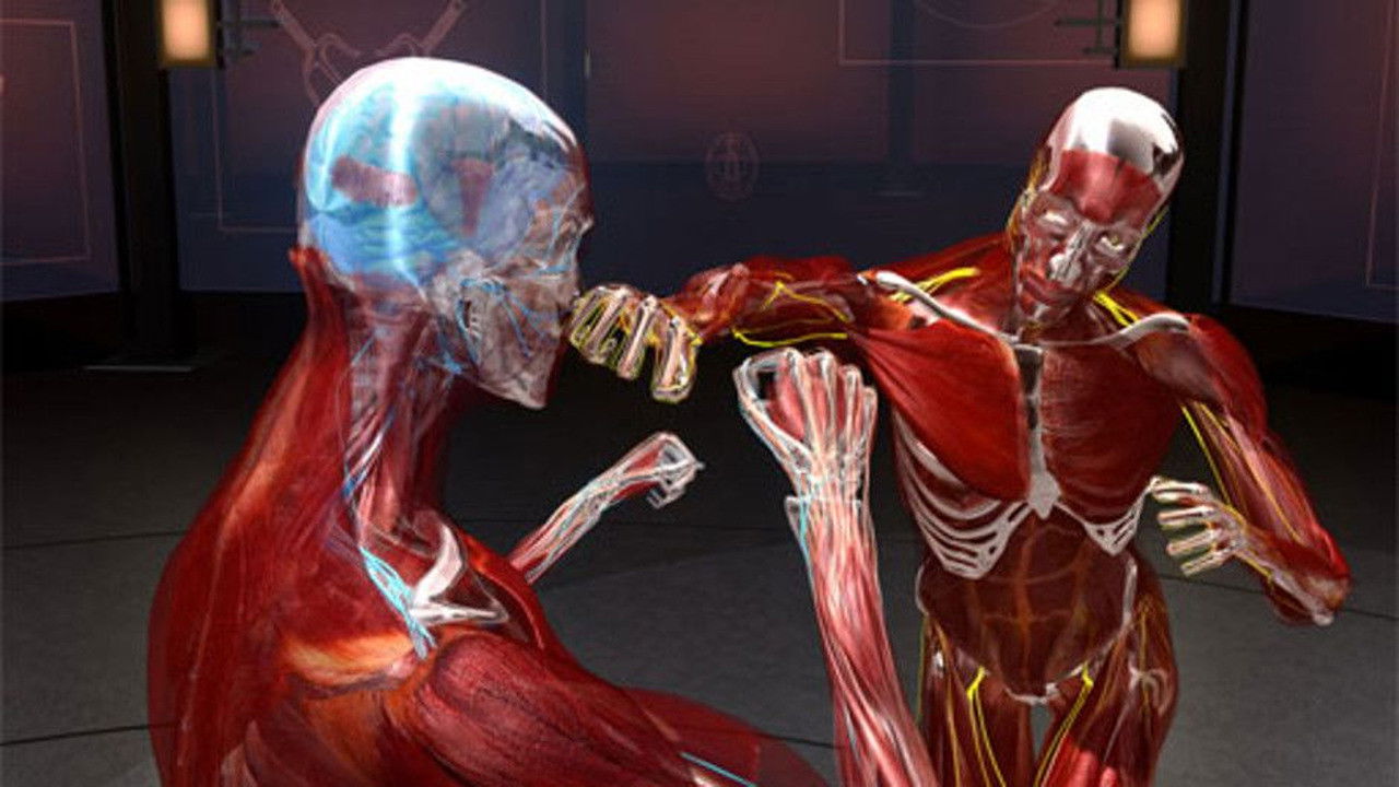 Fight Science Background