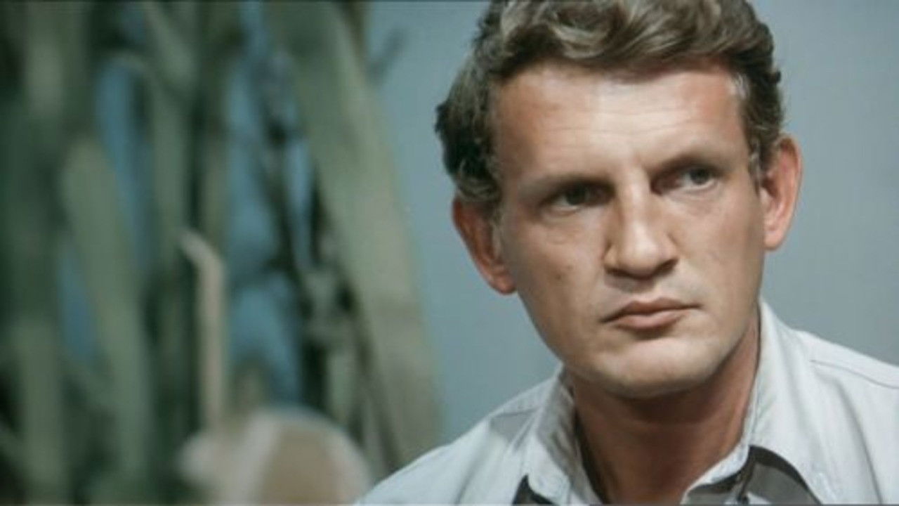 Znaki szczególne Background