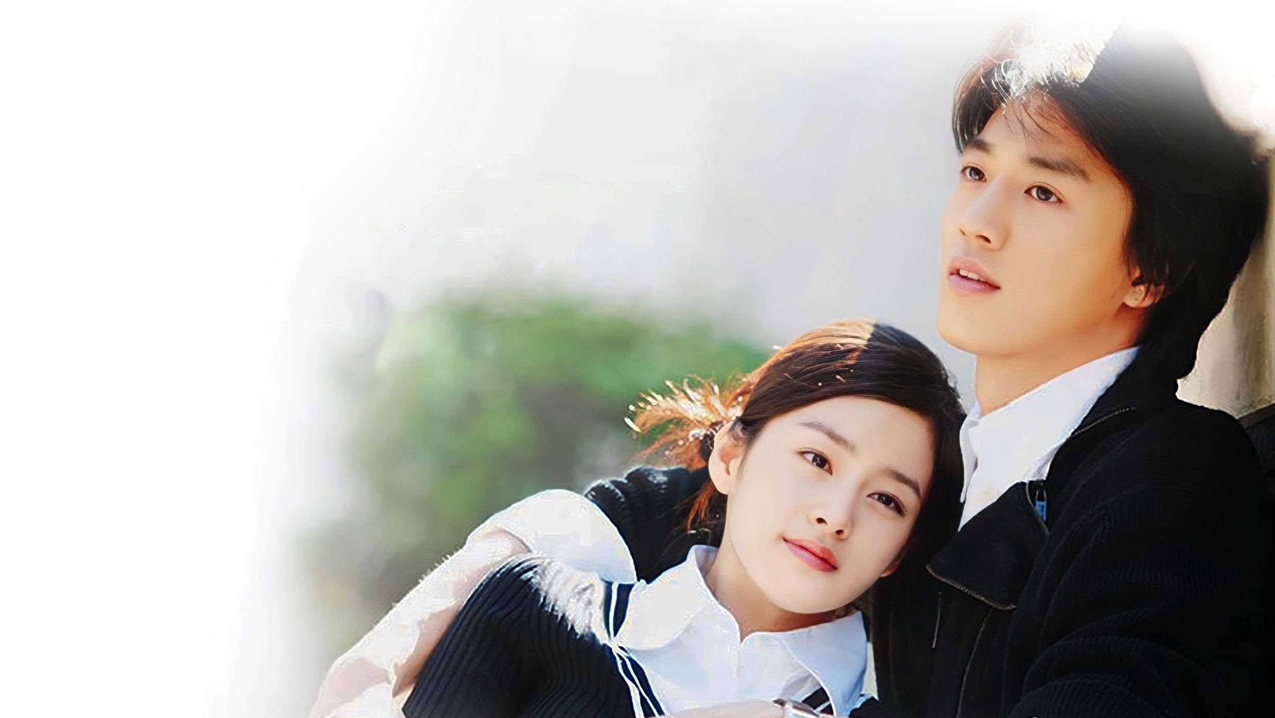 Love Story in Harvard Background