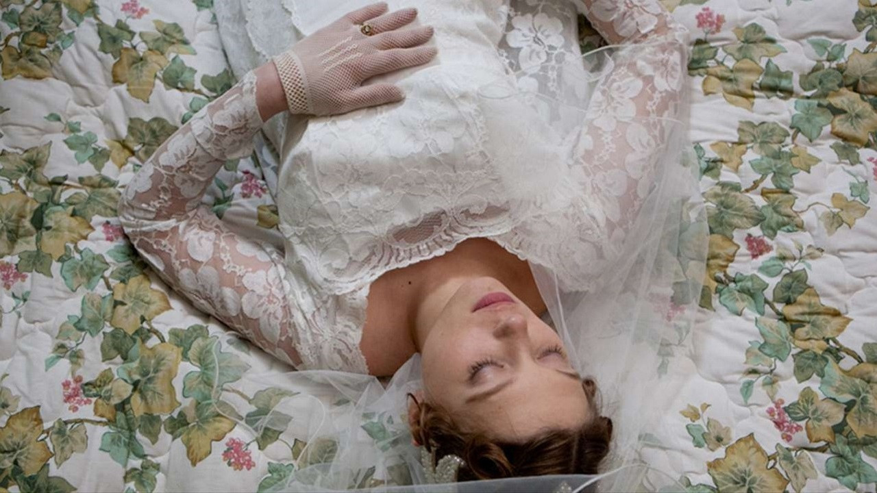 Roses on Credit Background