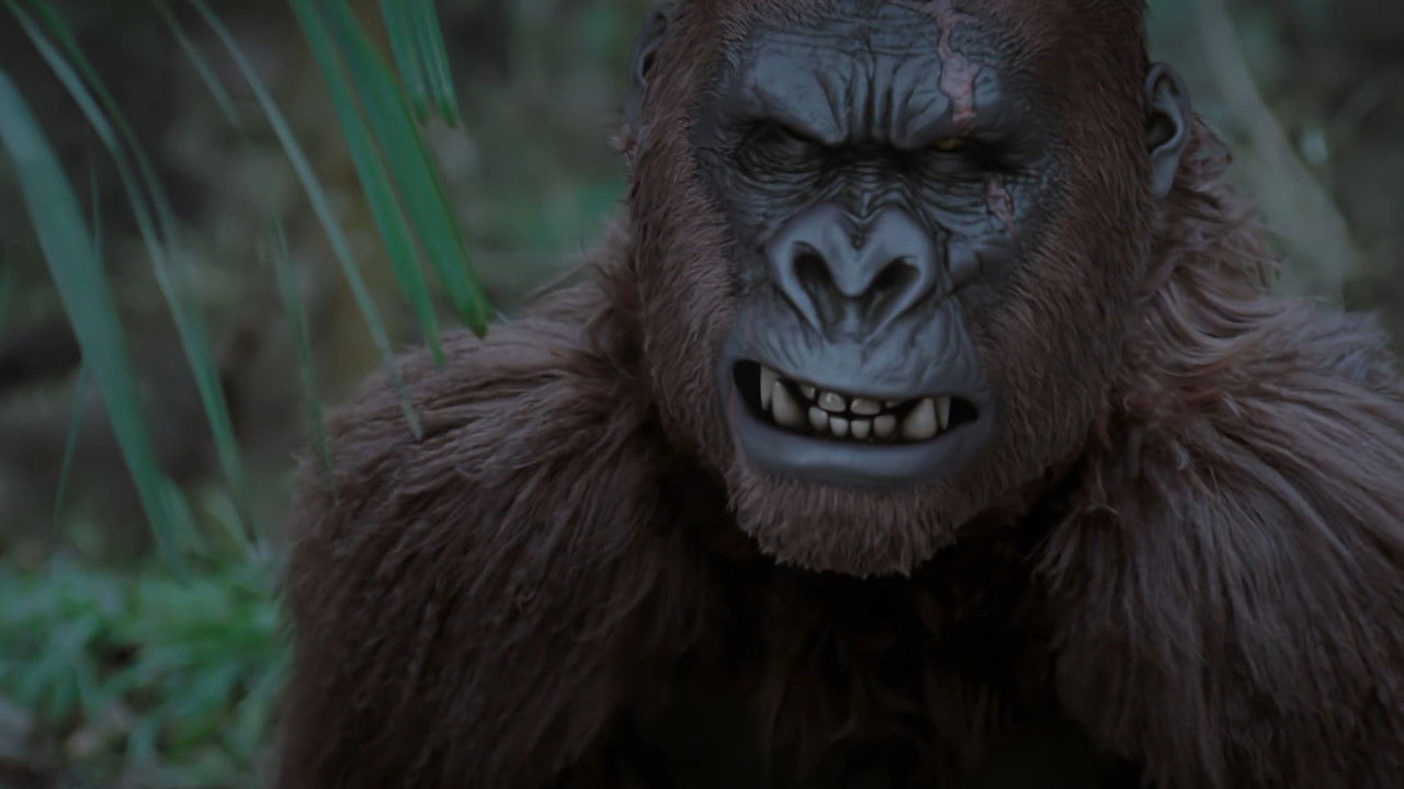 Mountain King Background