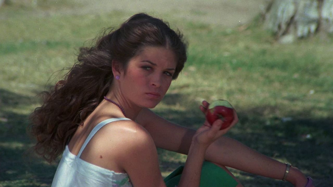 Sweet Sixteen Background