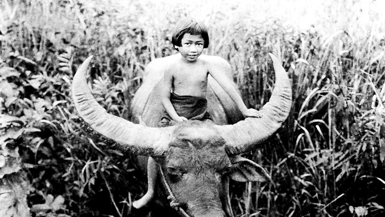 Chang: A Drama of the Wilderness Background