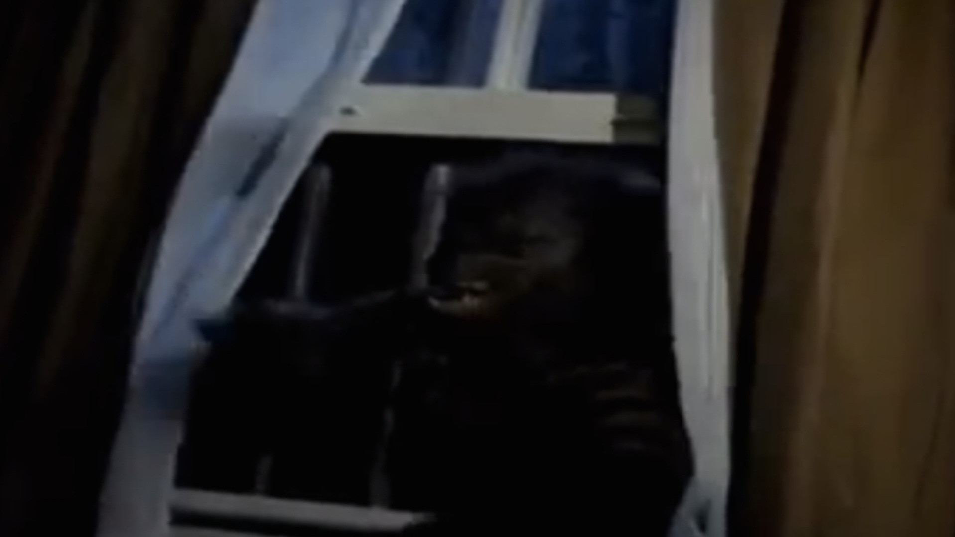 Goosebumps: Werewolf Skin Background