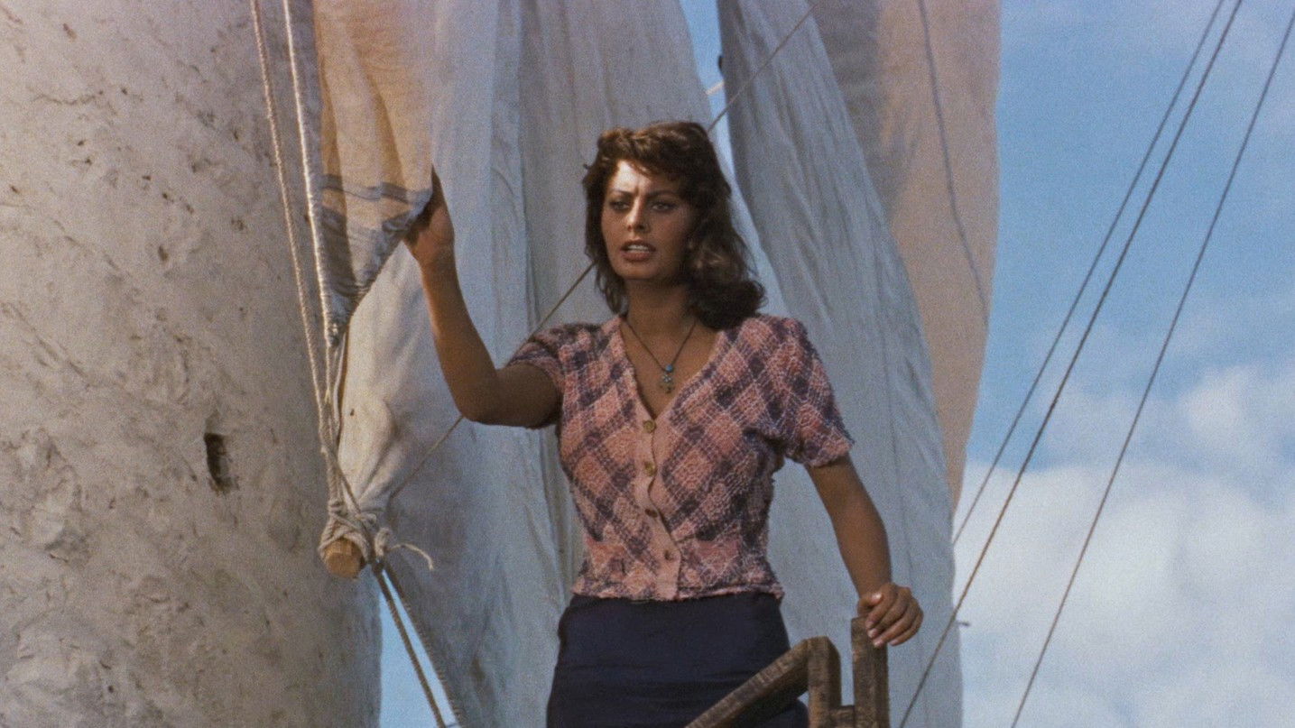 Boy on a Dolphin Background