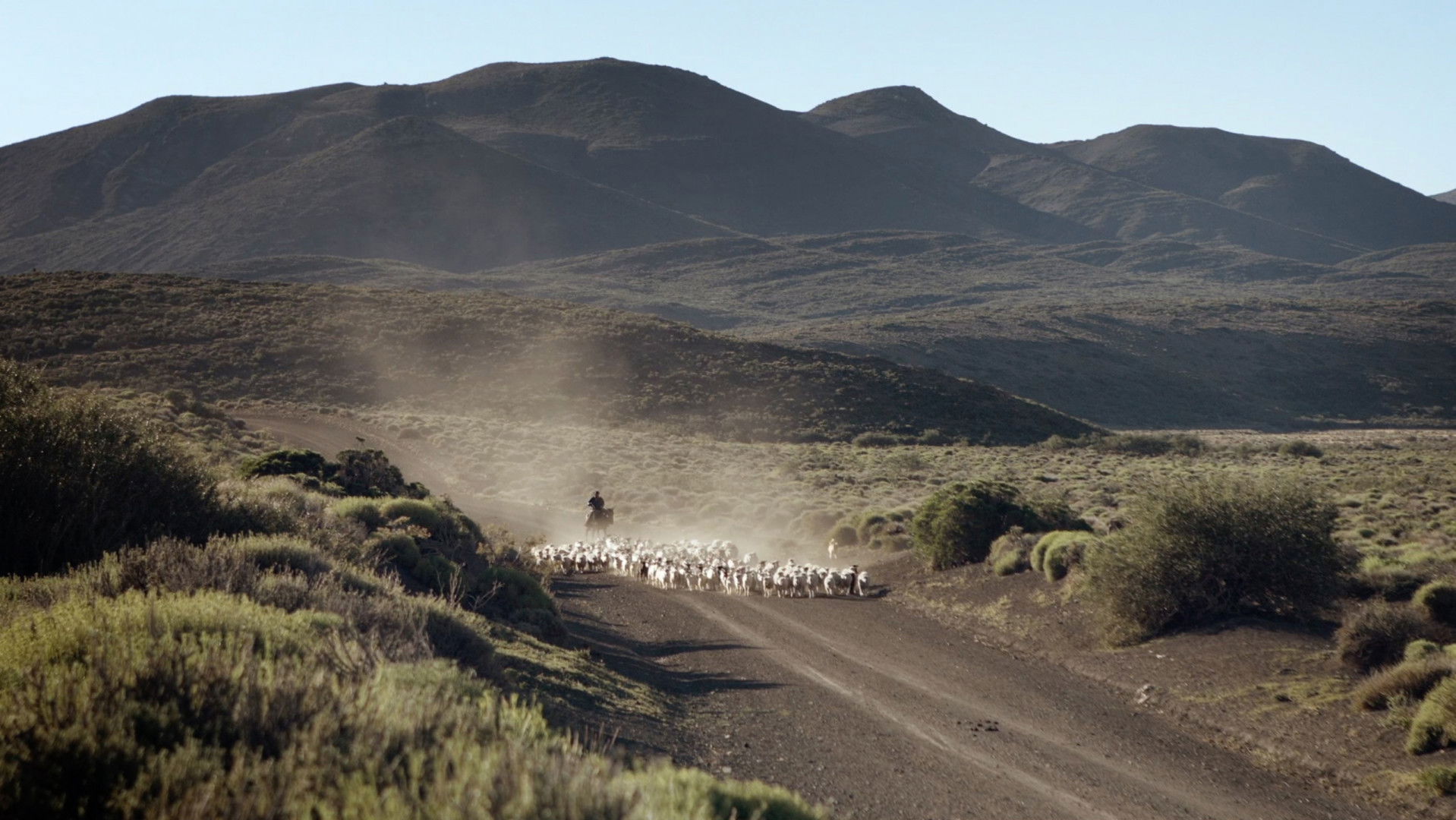 Escuela trashumante Background