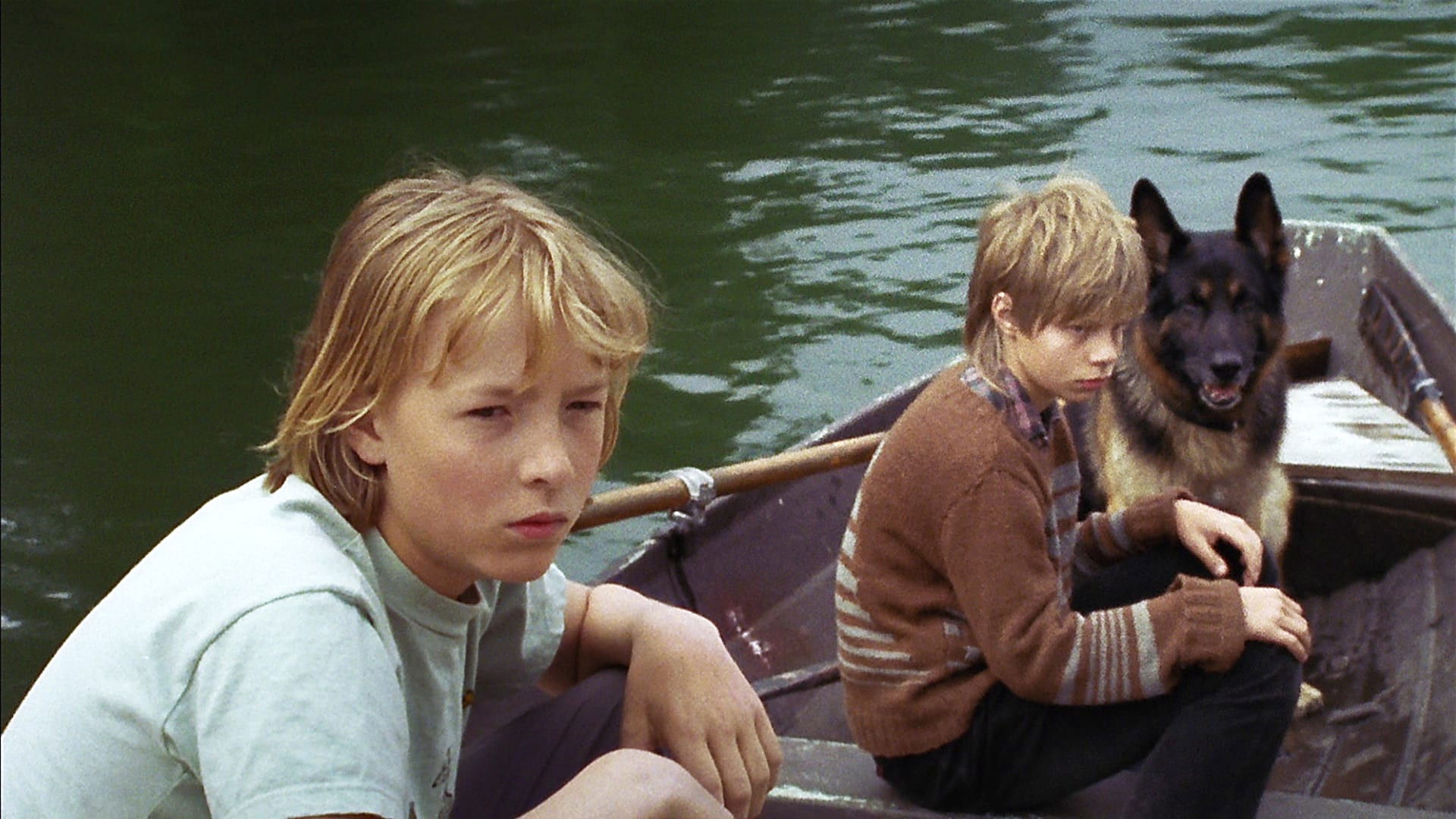 Susikoira Roi - seikkailu saaristossa Background