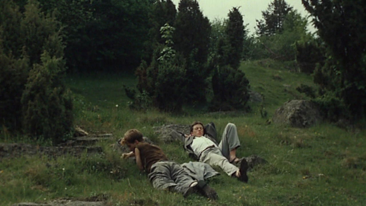 Shades of Fern Background