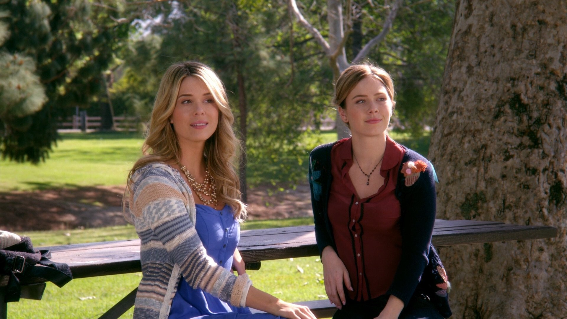 Love by the Book Background