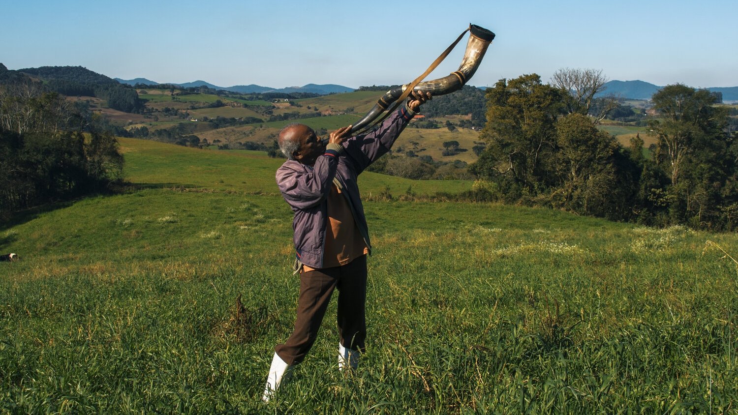 Memory House Background