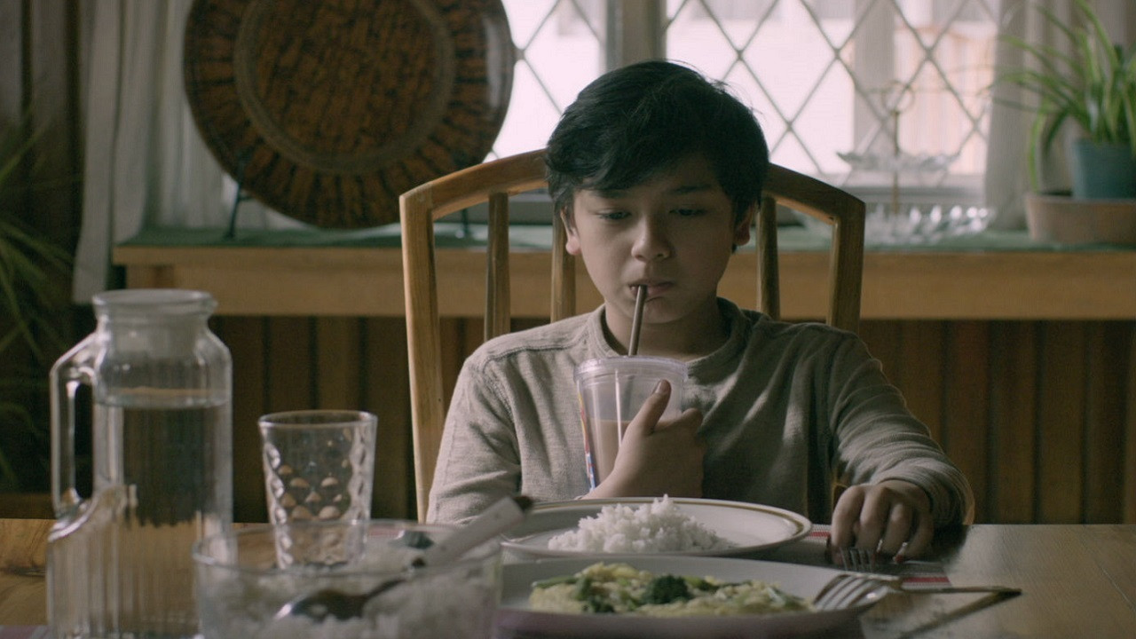 Kiko, the Boxer Background