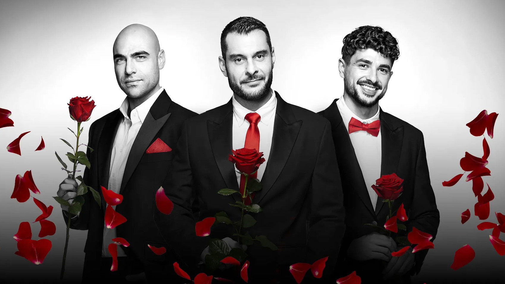 The Bachelor (BG) Background