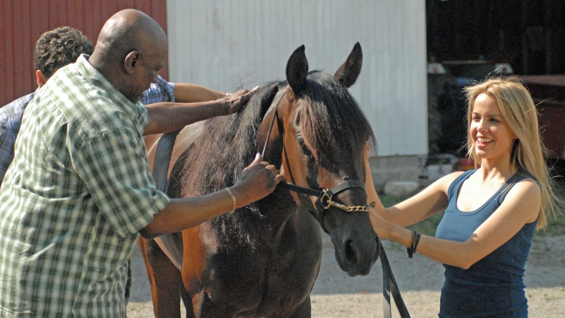 Amazing Racer Background