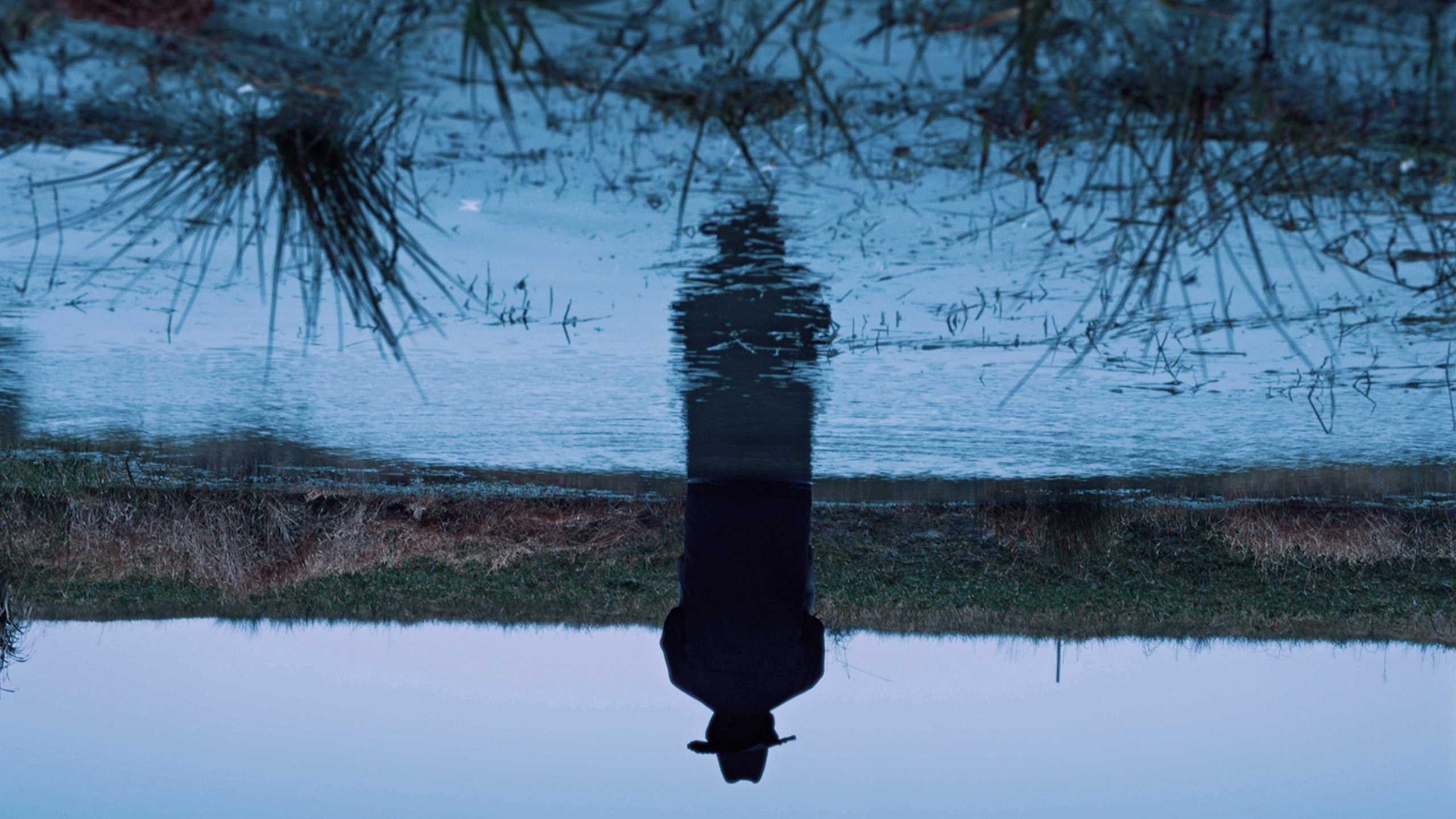 A Short Story Background