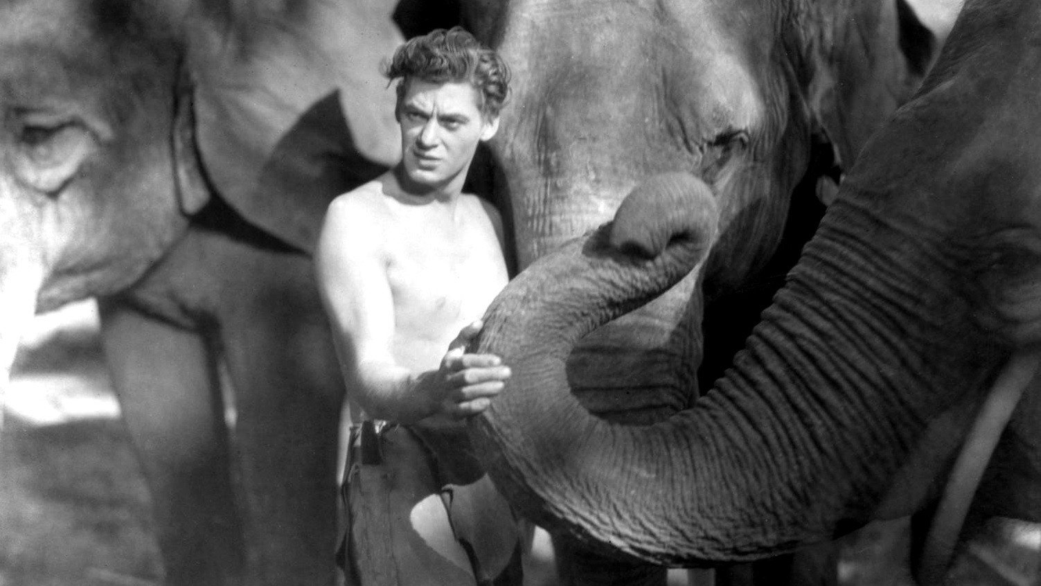 Tarzan the Ape Man Background