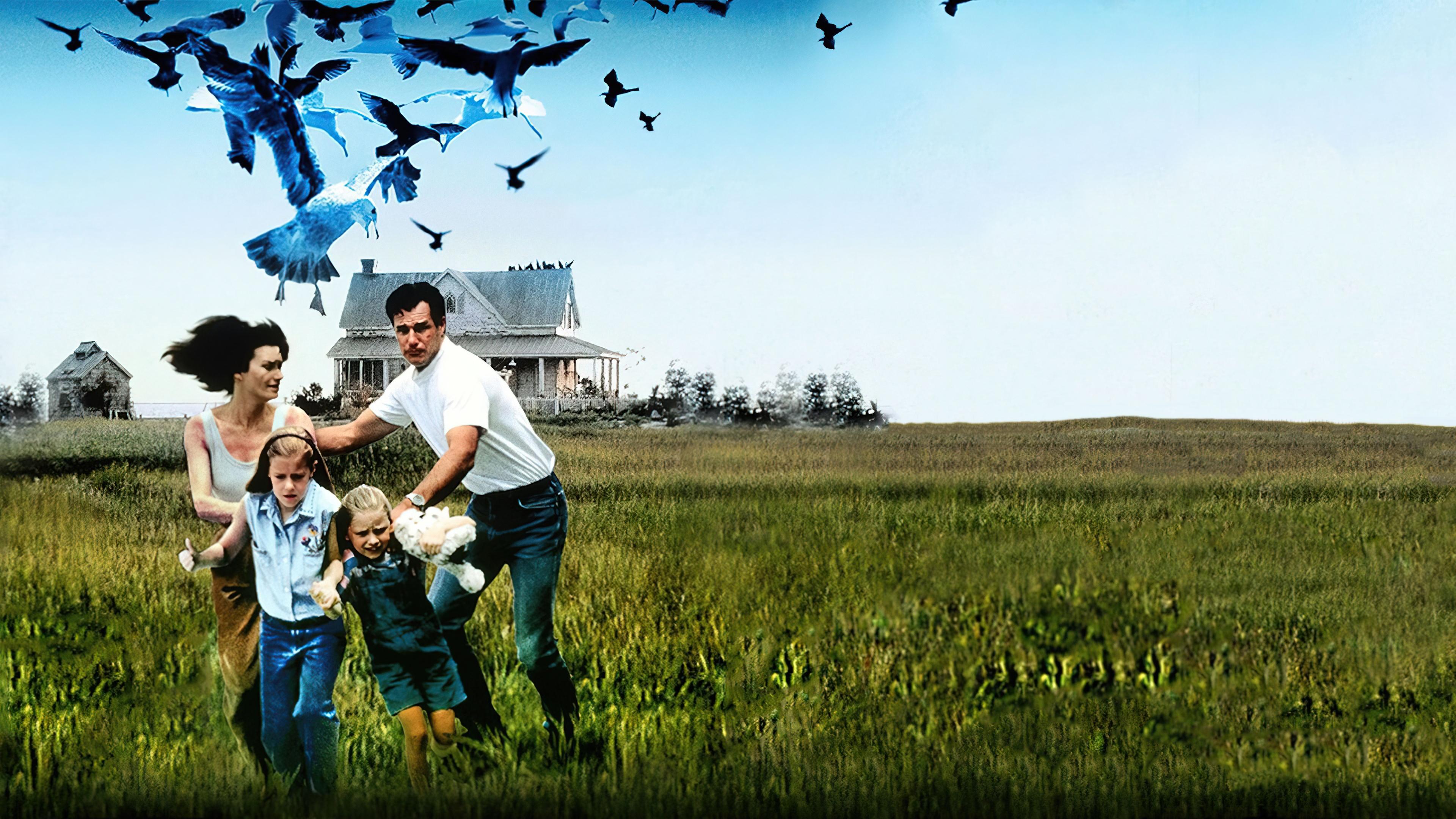 The Birds II: Land's End Background