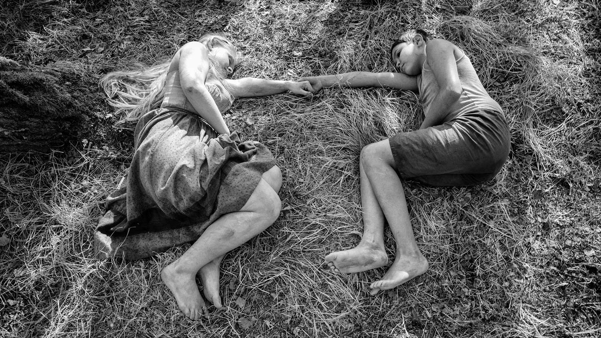 The Painted Bird Background