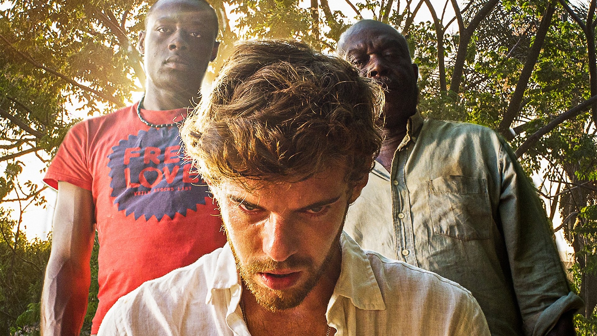 Flight of the Storks Background