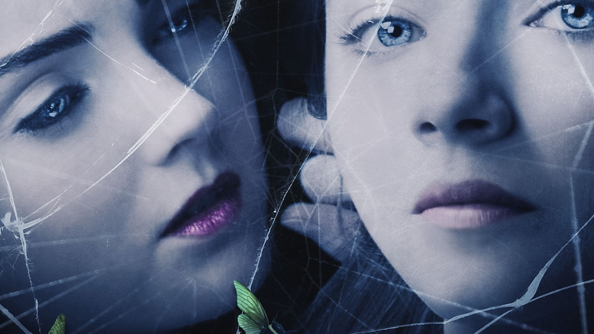 The Moth Diaries Background