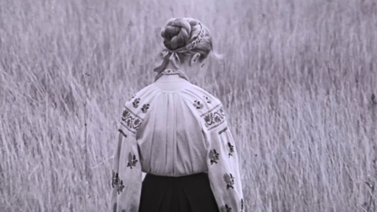 I'm Coming to You... Background