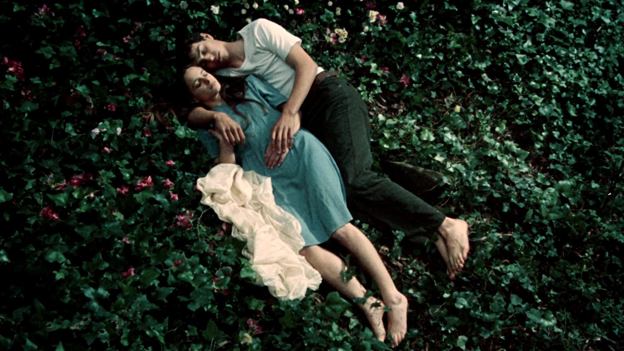 Fragile as the World Background