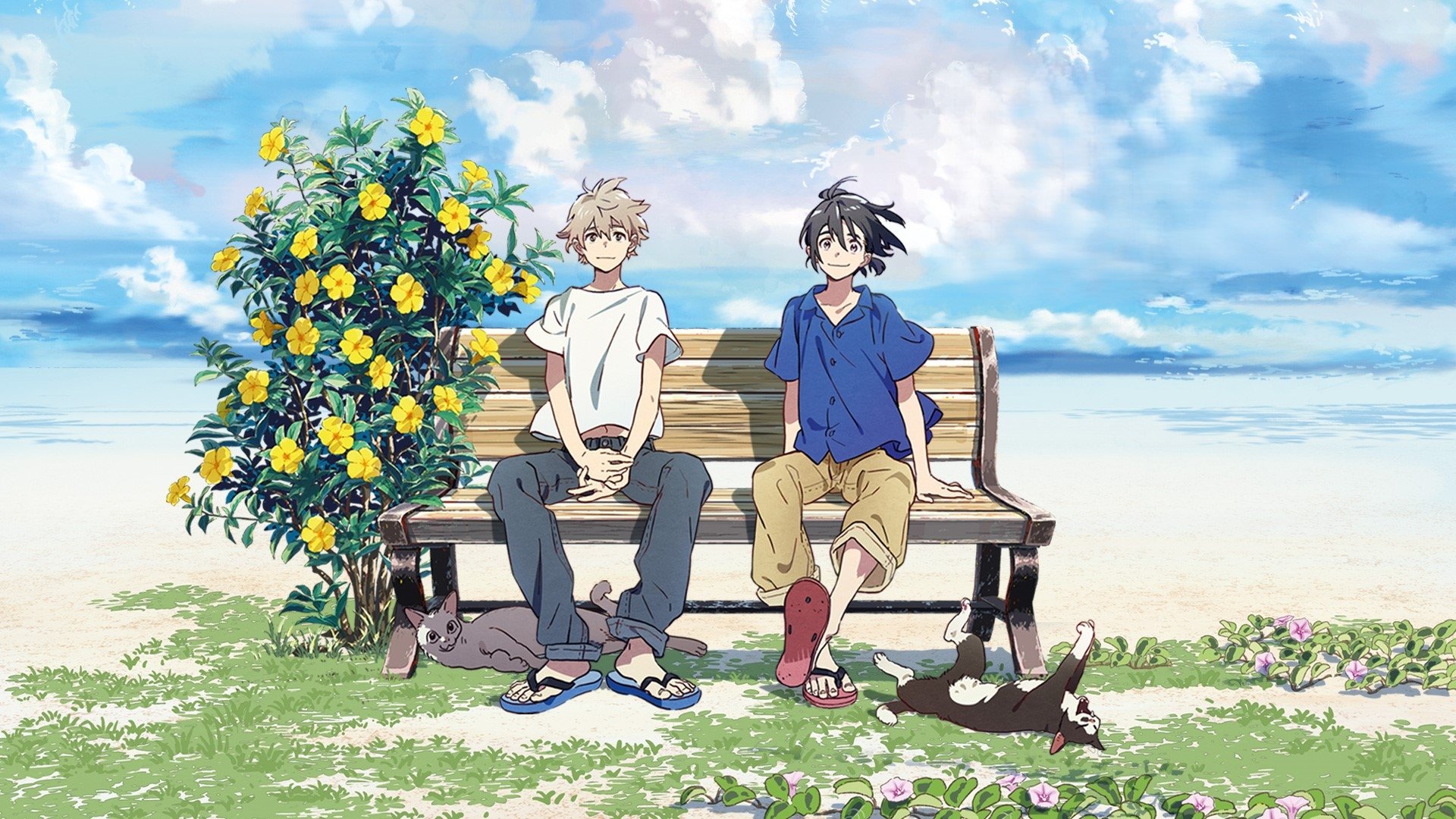 The Stranger by the Shore Background