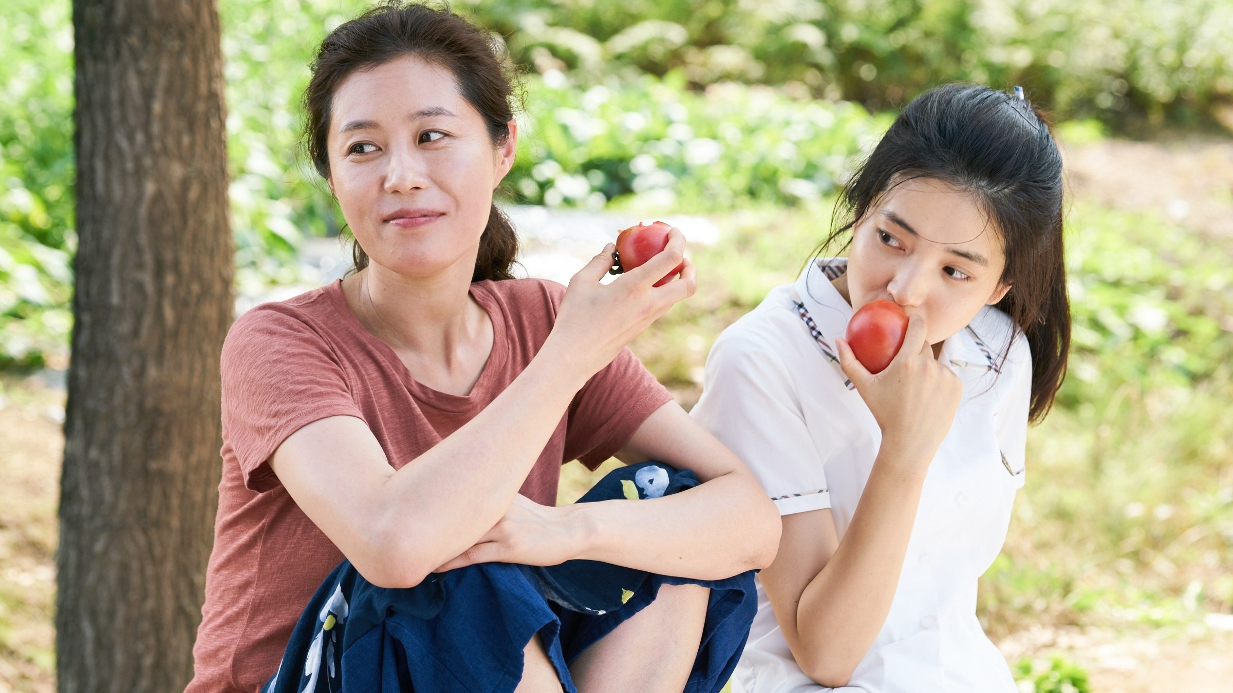 Little Forest Background