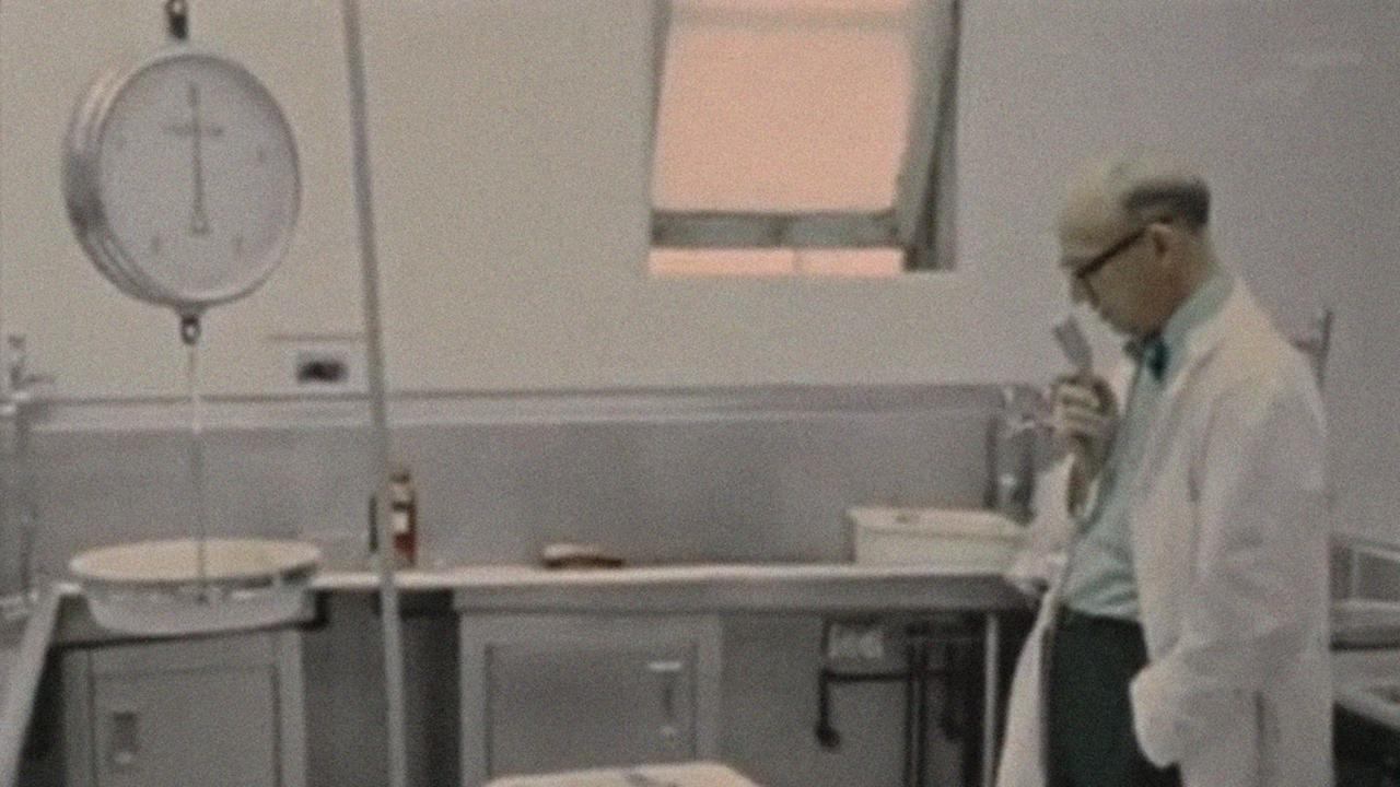 The Act of Seeing with One's Own Eyes Background