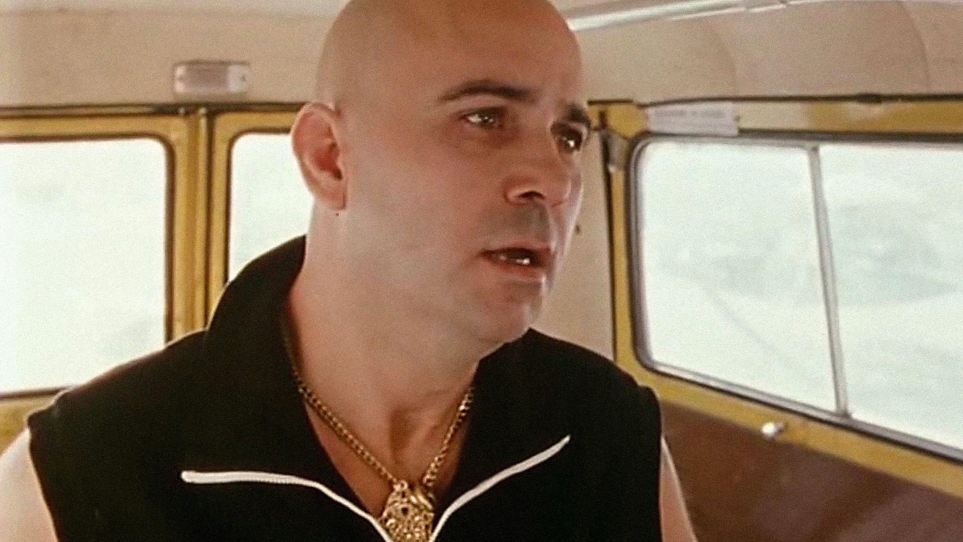 Piovono mucche Background