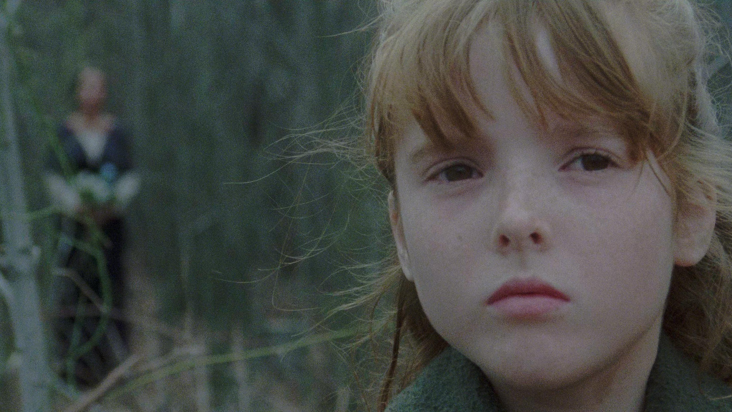 The House by the Cemetery Background