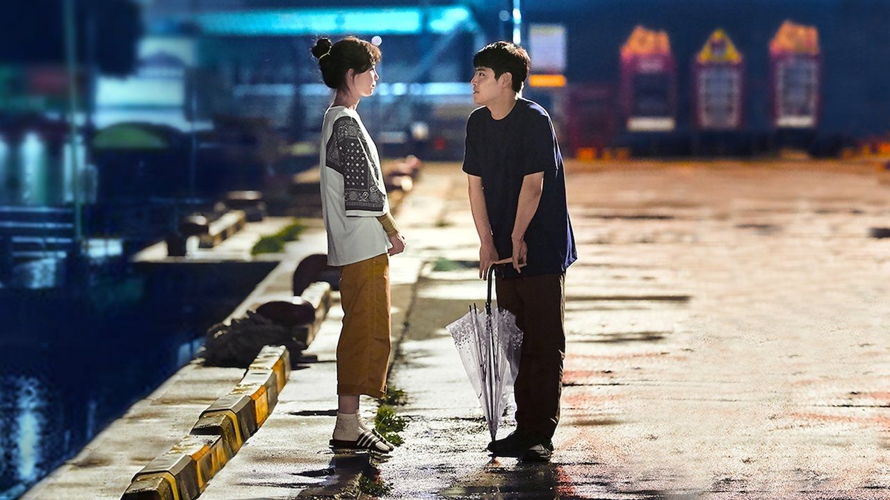 When the Camellia Blooms Background