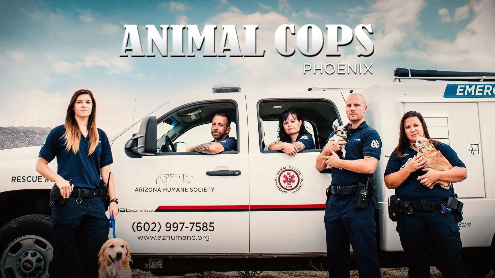 Animal Cops: Phoenix Background