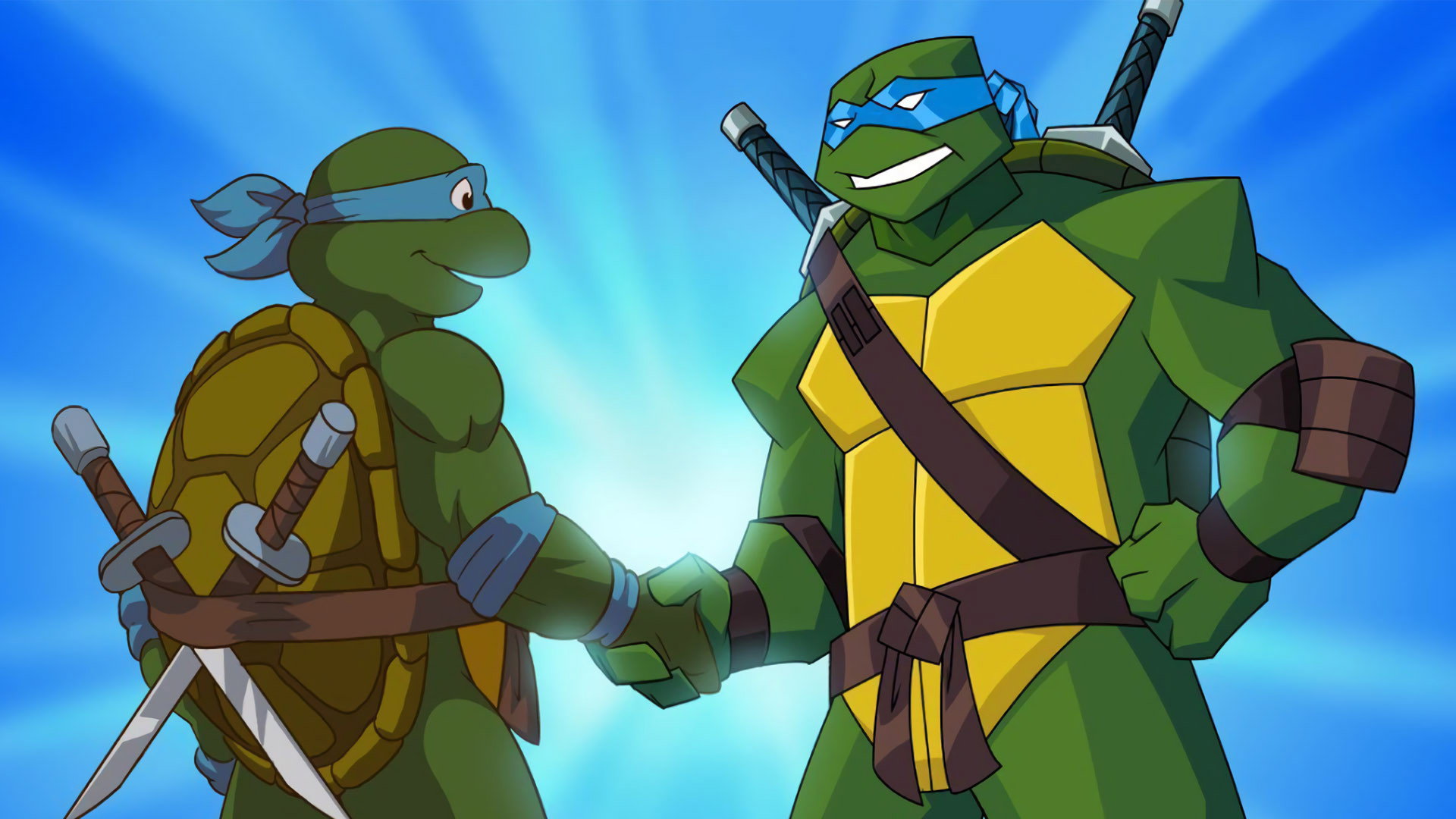 Turtles Forever Background