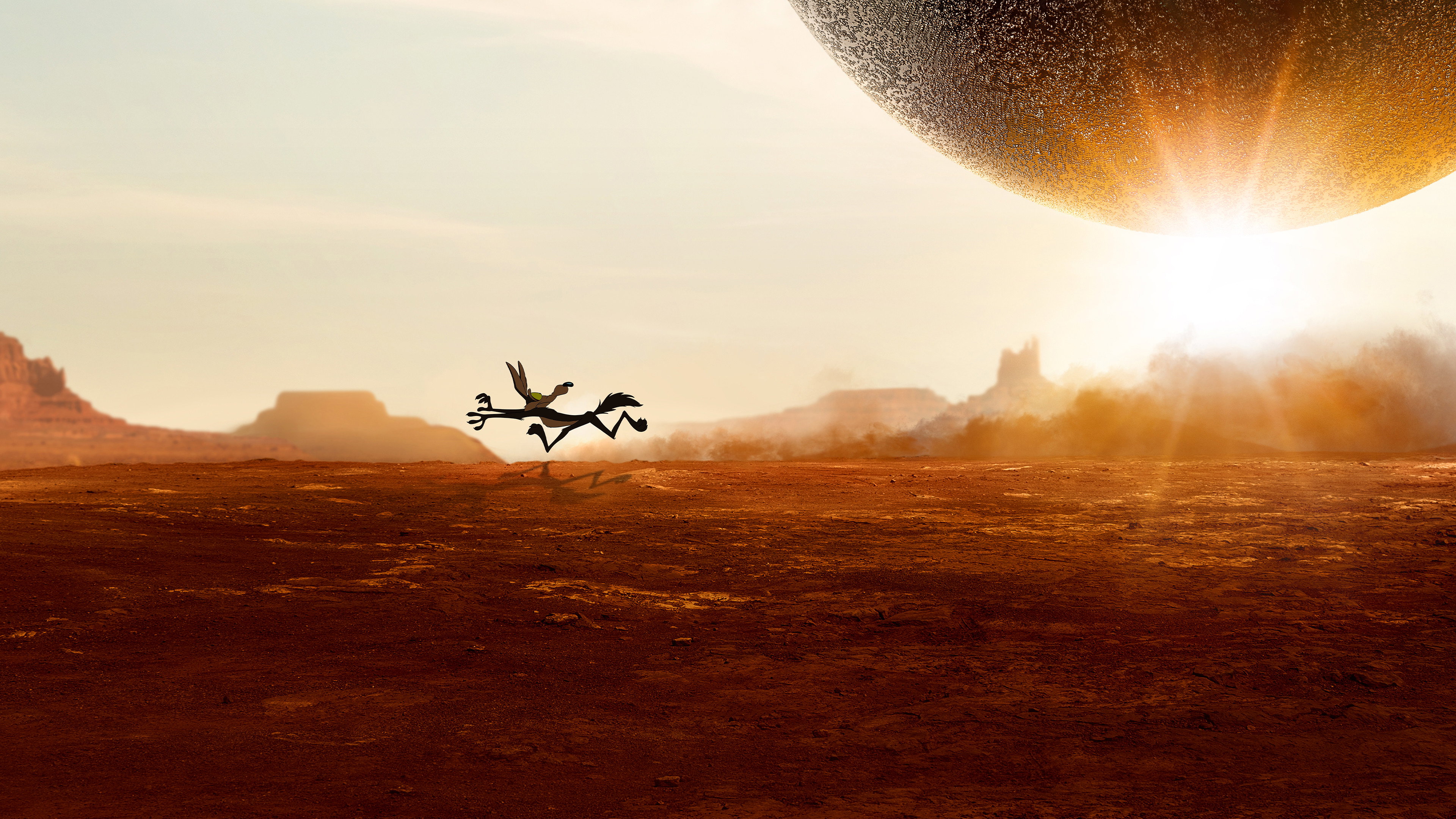 Coyote vs. Acme Background