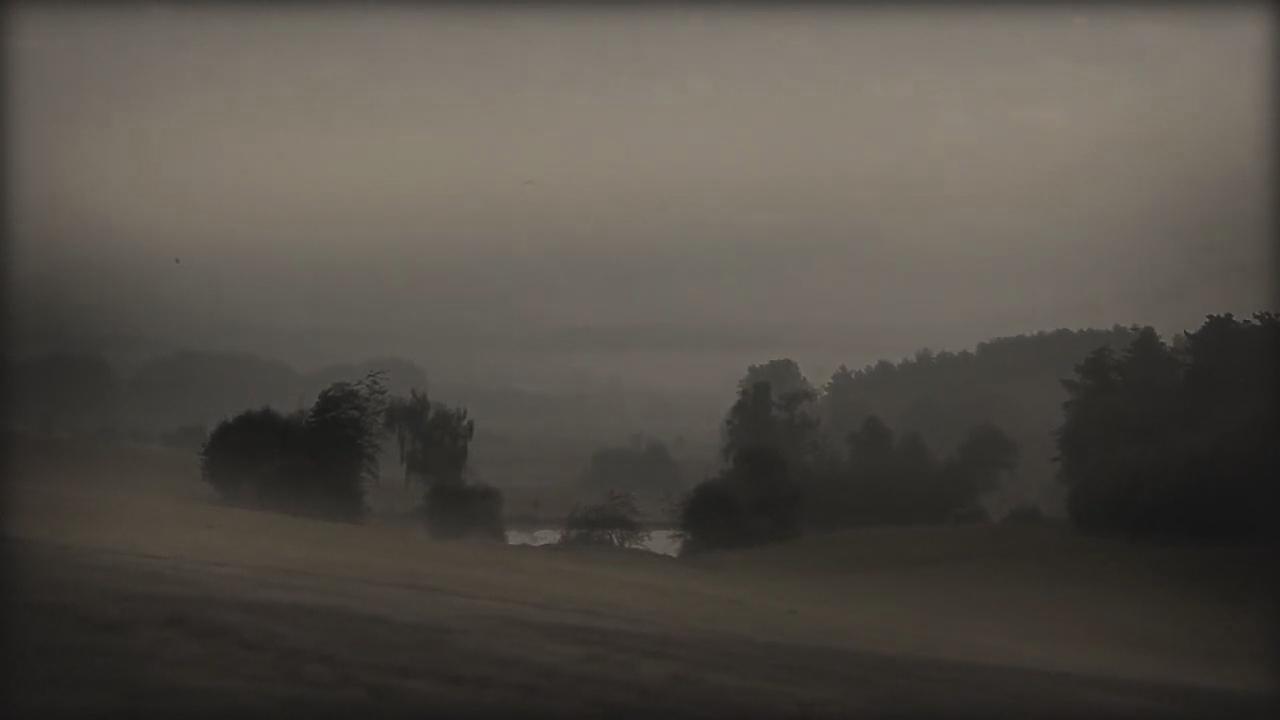 Blight Of Humanity Background