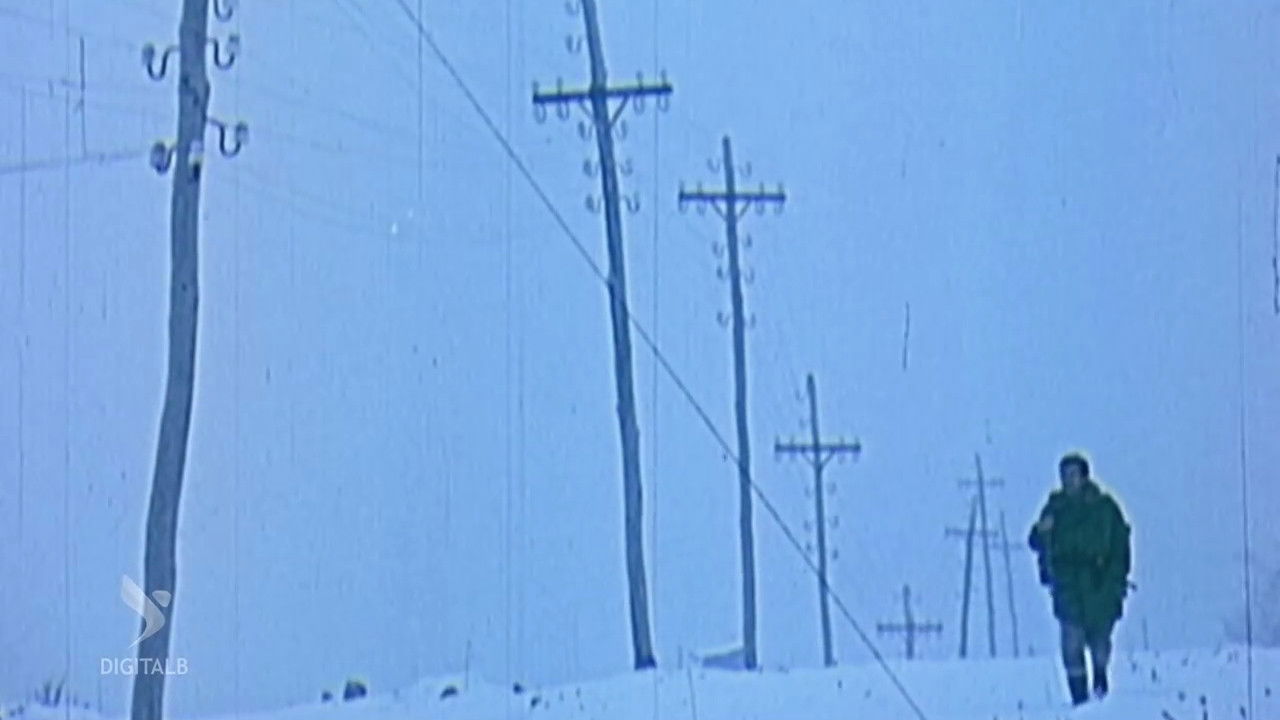 White Roads Background