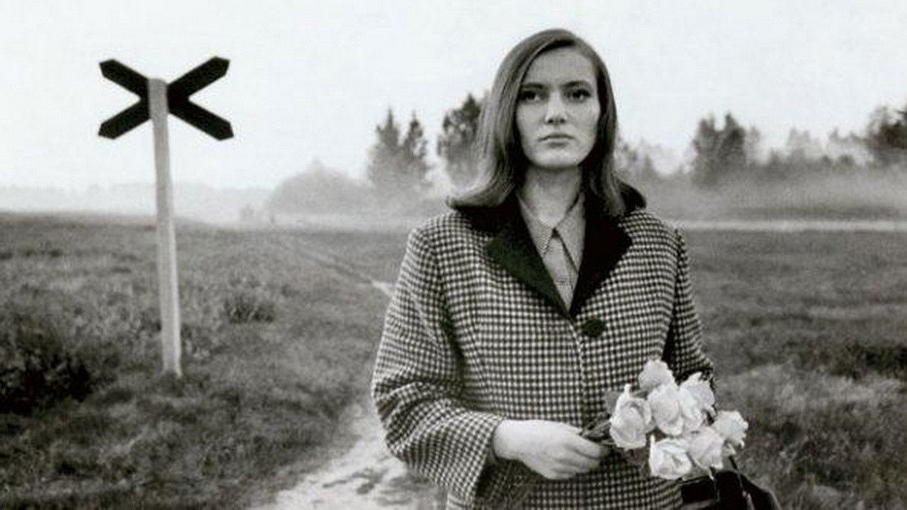 Pimedad aknad Background