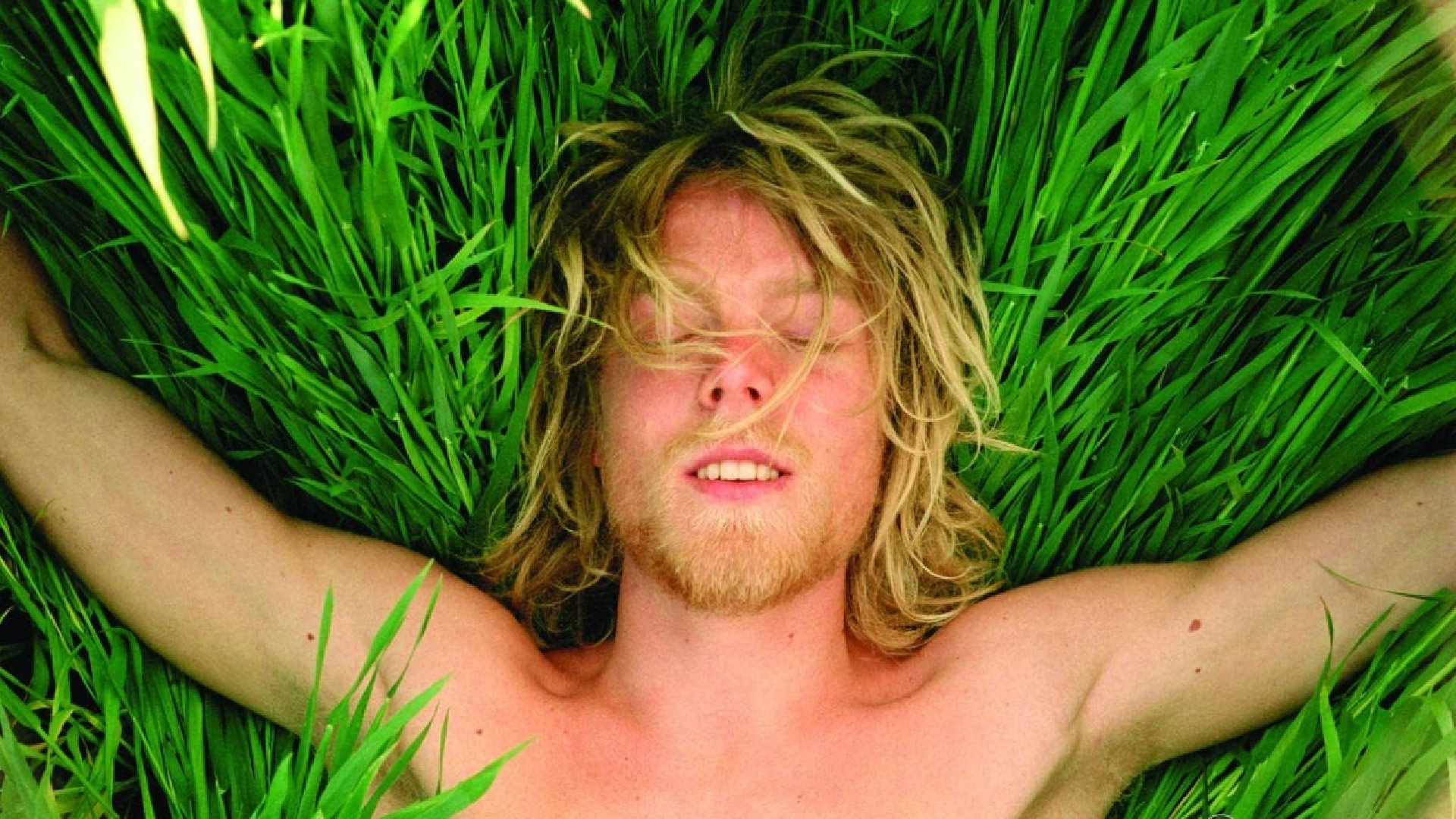 Falkenberg Farewell Background