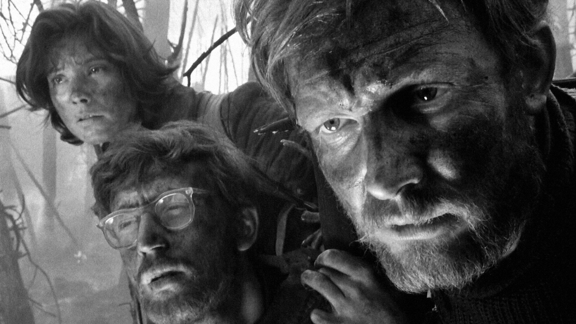 Letter Never Sent Background