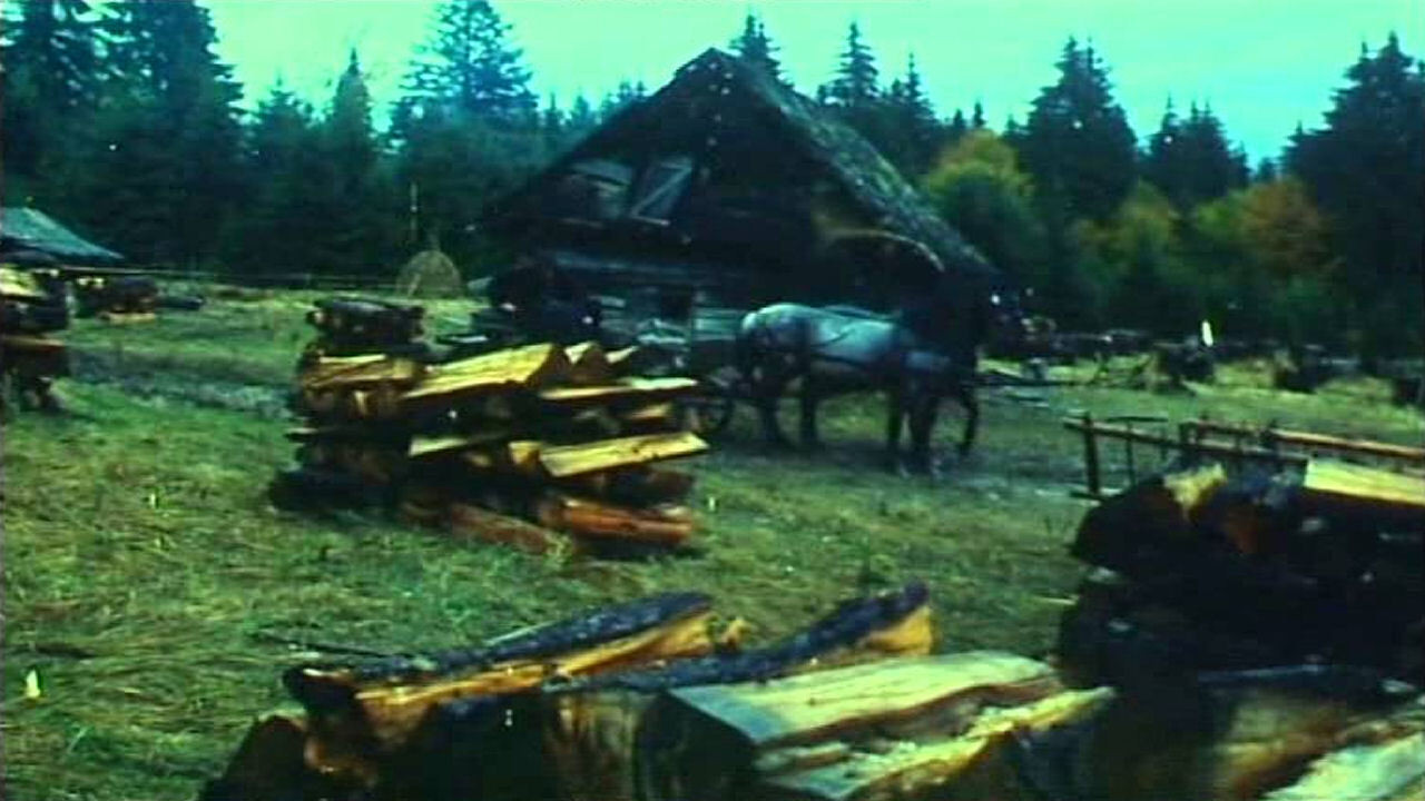 Ábel a rengetegben Background