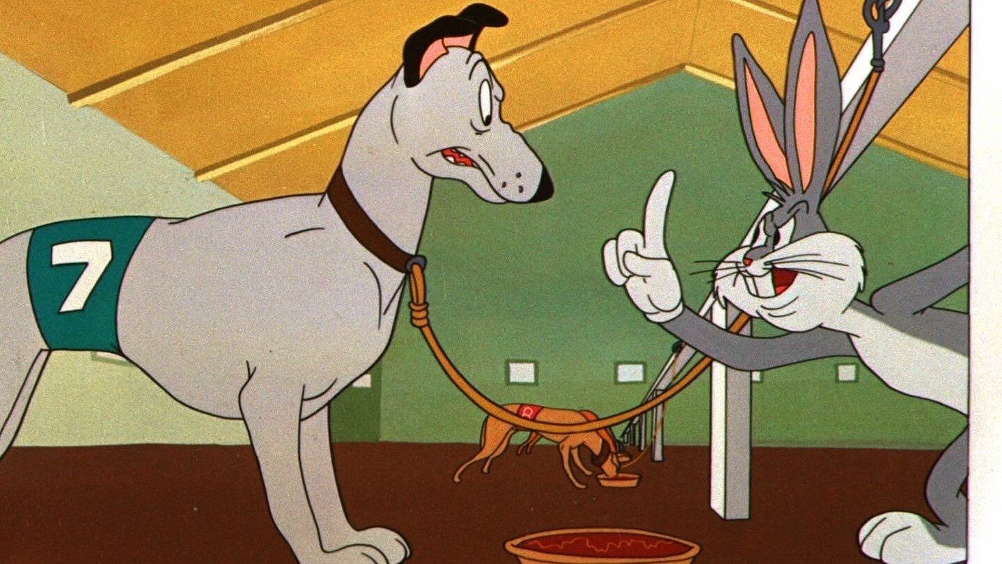 The Grey Hounded Hare Background