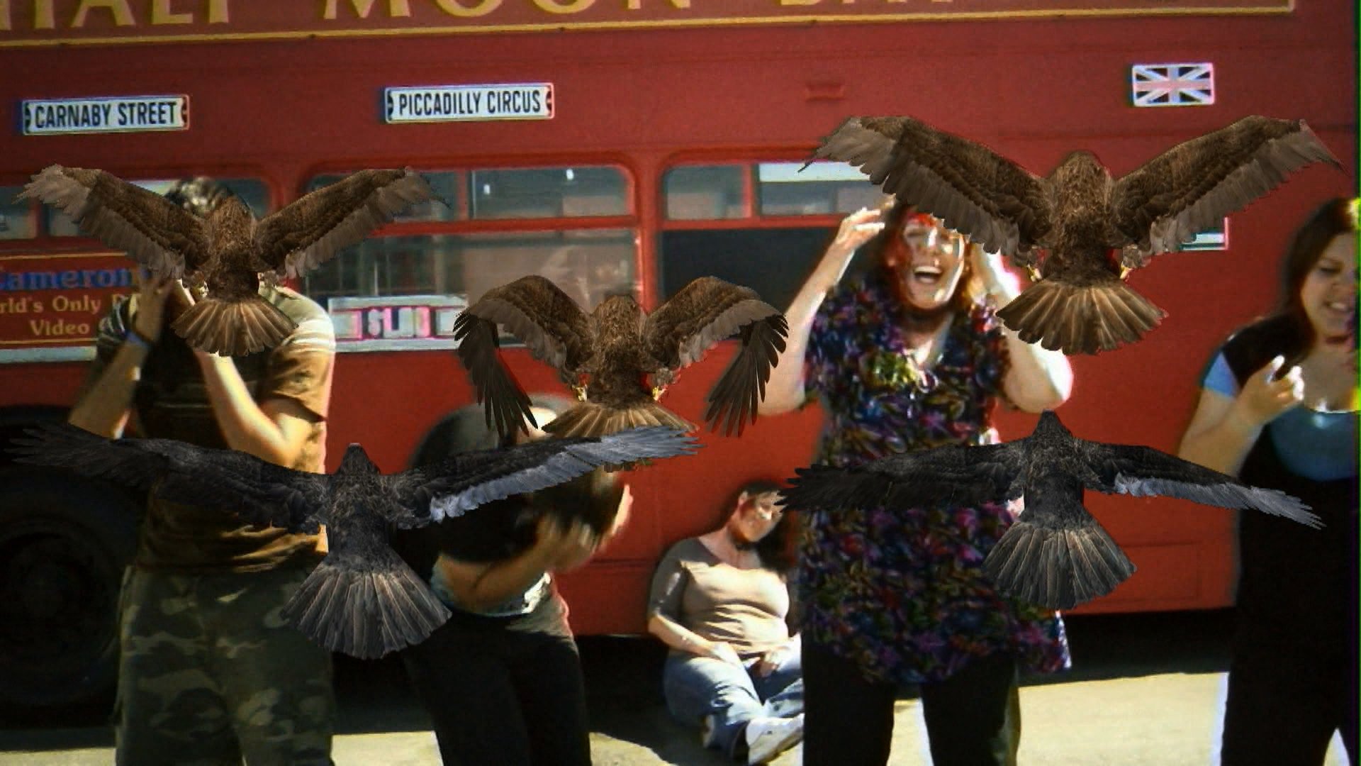 Birdemic: Shock and Terror Background