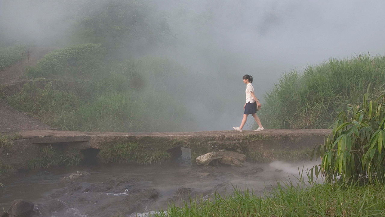 The Buried Forest Background