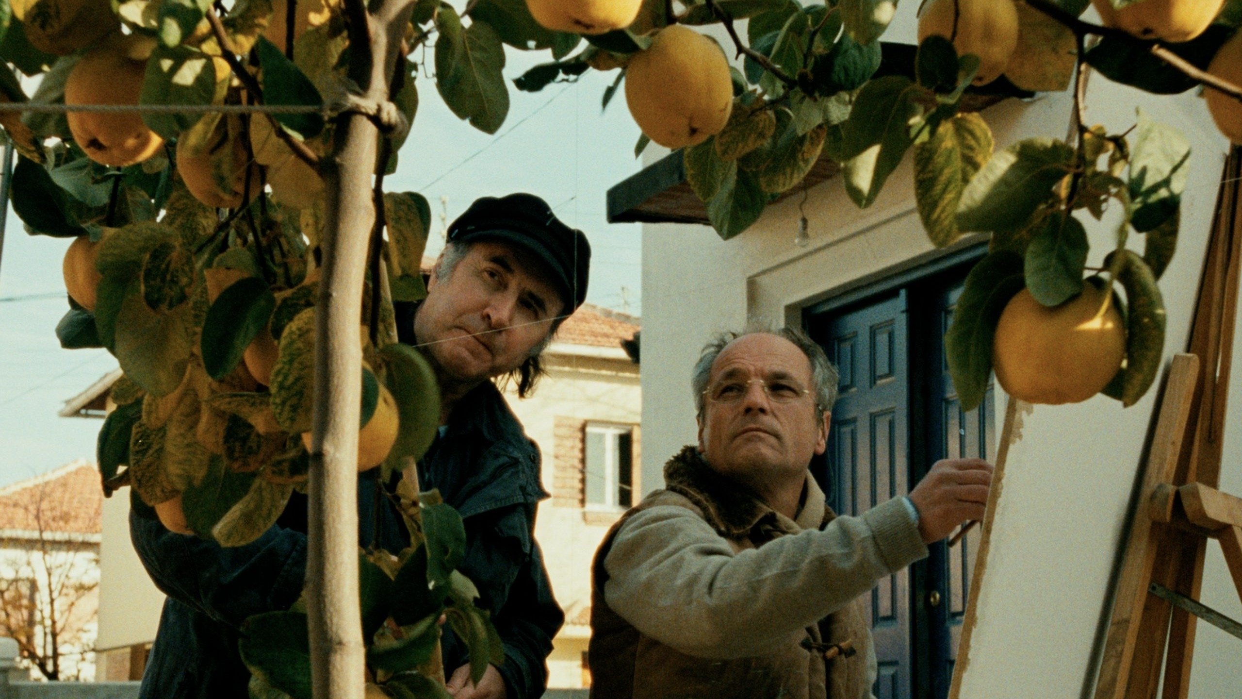 El sol del membrillo Background